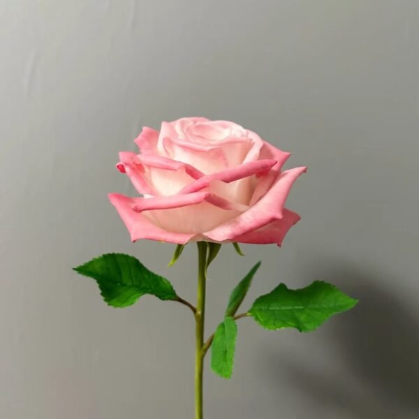 Rose - Image 5