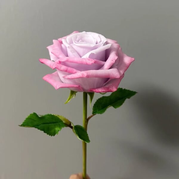 Rose - Image 6