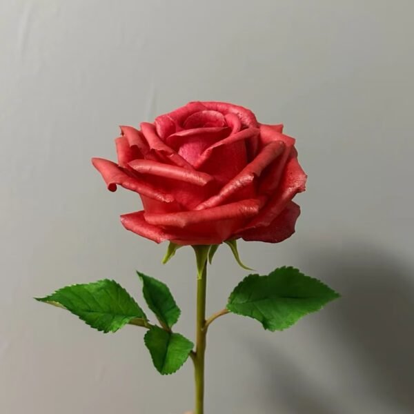 Rose - Image 4