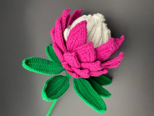 Protea cynaroides - Image 2