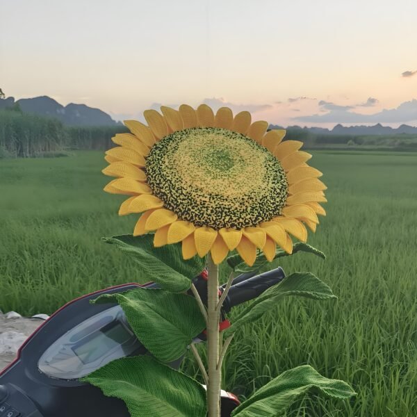 Sunflower - Image 5